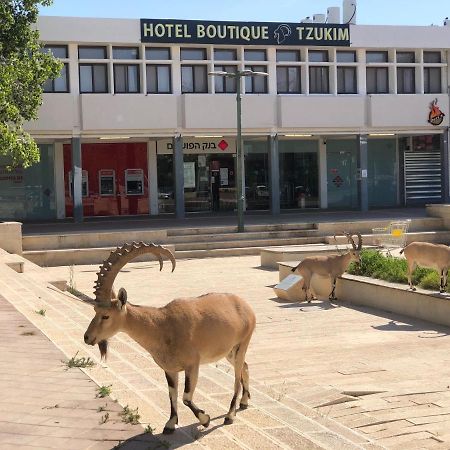 Tzukim Desert Traveler'S Hotel - מלון צוקים Micpe Ramon Kültér fotó