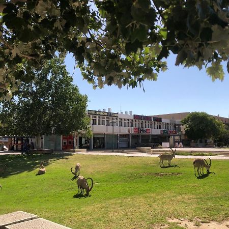 Tzukim Desert Traveler'S Hotel - מלון צוקים Micpe Ramon Kültér fotó